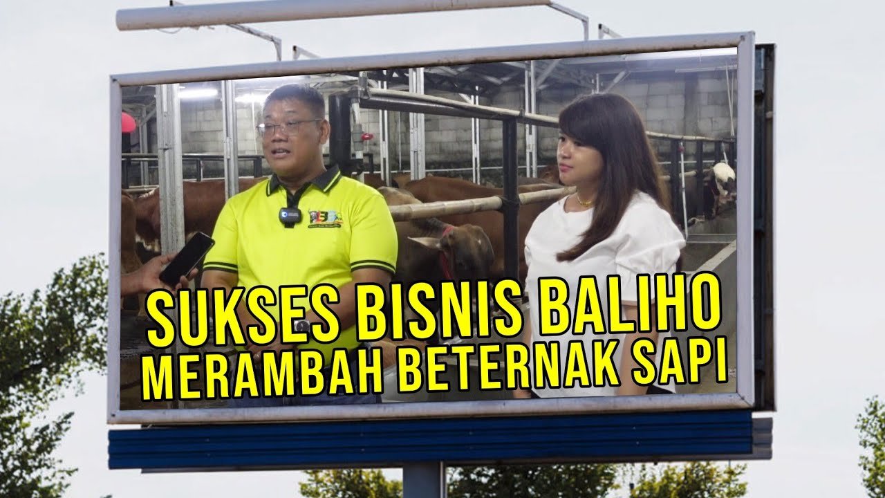 
                                 Peternak-Sapi-Bisnis-Baliho-Prospek-Menguntungkan